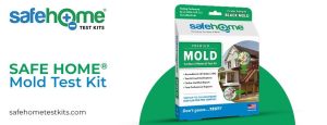 Home Test Kits for Mold|Mold Test Kits|Home Test Kits for Mold|Mold Test Kit