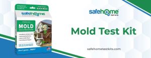 Mold in Homes: The Necessity of Lab Testing for a Healthy Environment|