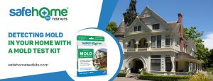 Mold water test kit